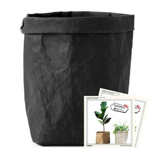 Jo[AؔJo[􂦂NtgϗtAv^[Jo[kVvCeA؉ʕ[pspLb`p(L(7)O[)