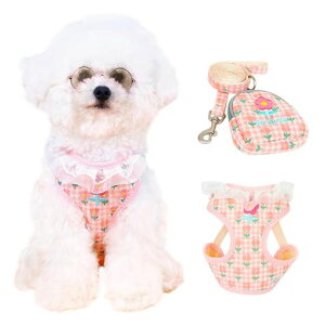 Fapayeeppn[lX-^pn[lX&[hZbgʋCAȒPEA߉\ASnh(MsN)