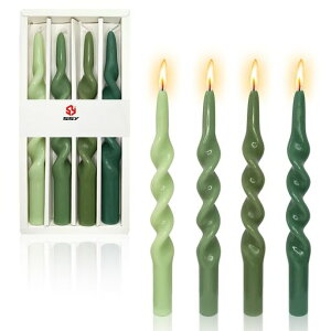 点̃e[p[LhXCJ[Of[VLhlC낤ƋCE\N4(10InchG-Green)