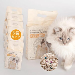 ShinyeverLł܂L̍LyʔLgC^pbN(~N̍6)