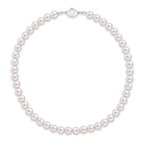 [KRKC]p[lbNX8.0mmfB[XlbNX嗱Ov~Ap[p^JWAp[aMtgwƎMtg̓v[g{bNXt41cmc