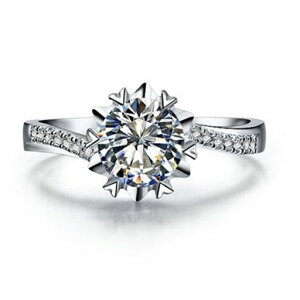 K^̃X^CuAg1ct_Ch̏̍w֏ȃVo[DGȌ̃WG[Mtg̉ԉł̂߂(8)