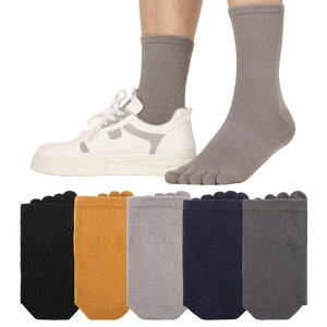 [XKAOPUTE]5{w\bNXYnܖ{w\bNXȌC5{whLʋCzLȂEȂJWAX|[crWlXܖ{wCtďH~p55FZbg25~28.0cm