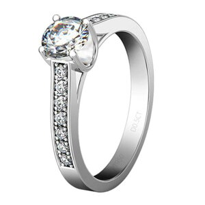 0.5JbguNSCD͋[_Chw֏Vo[LO⍥w(10)