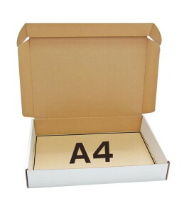 A4Eސ NAt@Ci{[P[X o[VuŎgp!(230x332x53mm)y25z