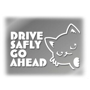 y݉zg`ނЂLJbeBOXebJ[DriveSaflyόh{V[oCNJ[XebJ[(FES^])