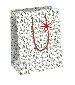 クレールフォンテーヌ【クリスマスペーパーバッグ】コウジーSサイズ(21.5x25.3x10.2cm)ミニタグ付きClairefontainecfX-32820-3