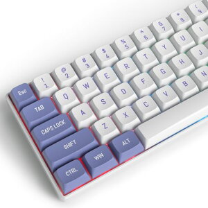 Purple White 118 �L�[�L���b�v�O���[�v�ACSA �v���t�@�C���J�X�^���L�[�L���b�v PBT �_�u���V���b�g ANSI ���C�A�E�g�L�[�{�[�h�ACherry/Gatron MX �X�C�b�`�p���J�j�J���Q�[�~���O�L�[�{�[�h