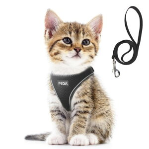 FIDALLpn[lX[hZbgLL[v[hxXg\tgČyʃTCY߉锽˒ʋCbVoȂxXg˂lRqLq^(XXXSubN)forKittenand