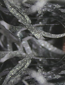 [XECh]pbLbsOފɏՍލރNbVރLLv[g3mm100gubN