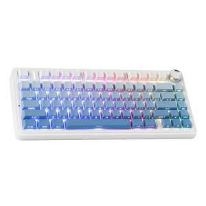 EPOMAKERxAulaF75Q[~OL[{[hKXPbgJjJL[{[h5wpbh&mut75%CXzbgXbpuBluetooth/2.4GHz/USB-CRGBZKF؎擾(Blue