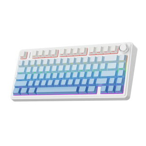 EPOMAKERxAulaF75Q[~OL[{[hKXPbgJjJL[{[h5wpbh&mut75%CXzbgXbpuBluetooth/2.4GHz/USB-CRGBZKF؎擾(Blue