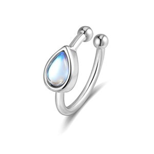 Freebird[Xg[C[JtfB[Xu̗vAM[ΉZa΃mz[sAXfB[XЎVvJWAa̓v[g