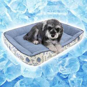 Peto-RaifuybgxbhLxbhĂЂ⊴􂦂3DʋCDꌢėpxbhėpybgNbVpxbhLpxbh⊴xbhӂӂybg\t@[΍Oa60x50x15cmc