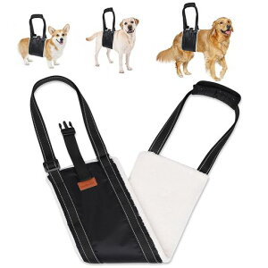 Loobanis⏕n[lX̗pVNpaCSюokʋCRۏLEȒPo֗[ܕt(萫obNt(^))