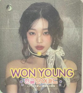 EHjObYtHgJ[h63Zbg[؍PJ[h](WONYOUNG2)