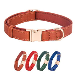 WDPAWSփx[VbNPUvꂩ킢̎ւʂтobN^p(SCguE)