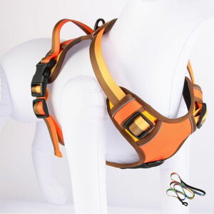 emcptern[lX^ZbgIW^pϋvϙHLTCY(60-83cm̏d21~40kǧɓKĂ܂)̏d40kgΉoRp/p˃e[v