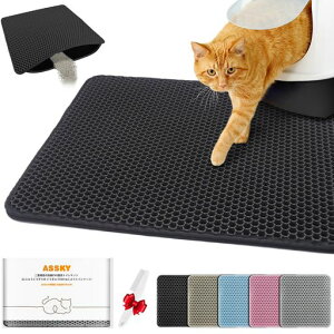 AsskyLgC}bgAL}bghLbg^[}bgAdwEVAAL傫ȃObhAAh~AȒPȑ|A6FWJA7TCYΉA2025N