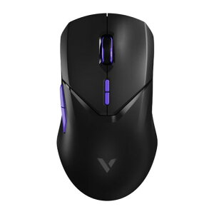 RAPOOVT9PRO4K}EXCXQ[~OBluetooth26000DPI4K|[OPAW3398ZT[w}EX10vO{^68gy180Ԃ̃obe[Agp