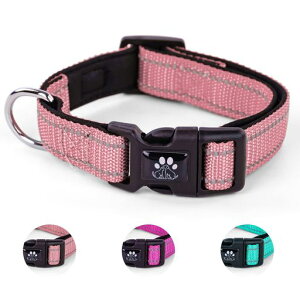 NESTROAD֒߉\Ԕˏ^E^E^pSΉꃁbVʋCSPpbV\tgɂȂȒPv(sNM)