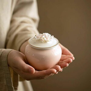 DiDiBirDi~jكjpو⍜ꍜكJo[Jo[RpNg茳{[pi~jTCYybgɗDVRfރJvZ[D(sN)