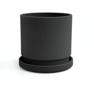 GreenshipAؔ󂯎Mt7(21CM)}bgȃIVGRfޔDF(ubN7)