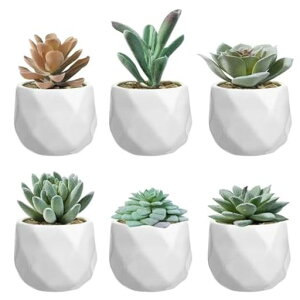 tFCNO[ϗtAtFCNlHϗtAlHAԌG}~jA6CeA~j~̓tFCNO[GݏMtg