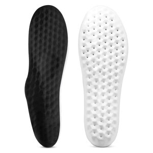 MornisunC\[ȂՌzd_炩/ʋC/z钆~yʍRۏLʋCTCY\jp