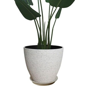 Glynislifev^[^󂯎MtAؔ[^yʃvX`bNOpv^[[^17cmrtϗtAAؔ(20#ی^-zCg)