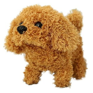 ʂ݌dtqv[gʂVуybgʂݒaEnEB[ENX}XEVN(efB)