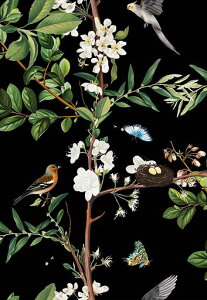 JuangfiaǎV[ǎhCNV[gȂ10[gubNEH[XebJ[