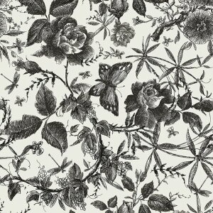 JuangfiaǎV[ԕǎhCNV[gLb`ǎV[gJbeBOV[gtH[V[gDIYEH[XebJ[5mubN