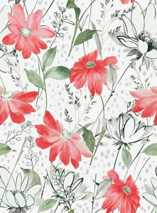 JuangfiaǎV[ԕǎhCNV[gȂ10[g