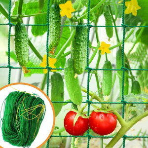 MEOTDEOY園芸ネットつるものネット10cm目(1.8mx2.7m)