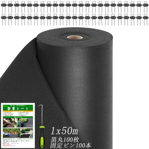 katsstyǔŁzhV[gV[g[ϗpN5NxS̍Gh~UsY100{ƍ100tڂV[gubN(1x50m)