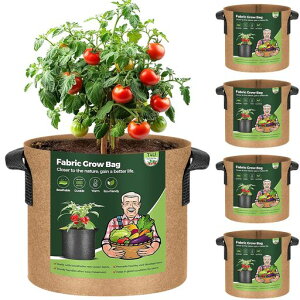 T4UsDzv^[zt7K5ZbgsDz|bgtFg͔|܌AܐA琬ԍ͔|؍͔||搧F