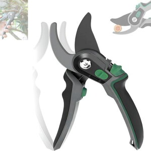 XLRPAT΂݉|΂ݙ|pnT~Kтɂ̐؂ꖡ2iK߉\؂ʎK[fjOƒ؉