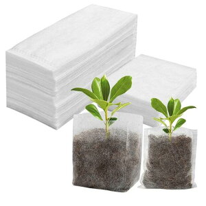 ItisyoucܐAܖؗpA̓obO͔|obOԐA̓obOc|bgc|bgsDzv^100(8x10cm)