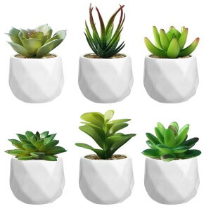 tFCNO[ϗtAtFCNlHϗtAlHAԌG}~jA3CeA~j~̓tFCNO[GݏMtg