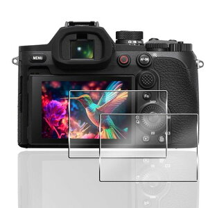 �p Cyber-shot RX10 V �ی�t�B���� �K���X�t�B���� �p �\�j�[ RX10 V �t�B���� �ی�t�B���� 2�� ���{���Ɏq�� �d�x10H