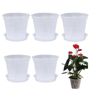 5Zbgȗ̔t12*10.5cmI[Lbh|bgv^[AؔvX`bNXbgϗtAAAt󂯎MtӒc|bgOz[K[fpc