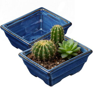 VillaComoAؔ픫~͔AT{e2_Zbgv^[AtϗtACeAItBXu[