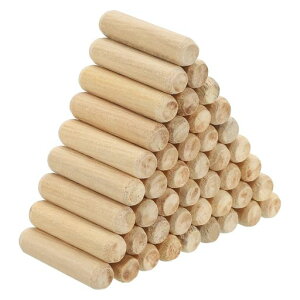 PATIKIL؃_{10x40mmt[gt_EGsƋhAA[gNtgvWFNgɍœKxxXbg_{120