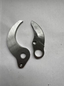 42mmoT~(B0DS17D38Np)ւn̂ݐlC2025NVfJpx߉(ւn̂)