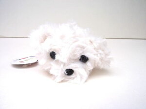 LittleBeans}`[Yʂ13cm