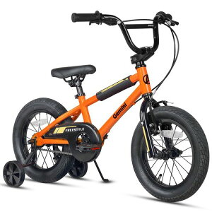 AVASTA(�A�o�X�^)Gemini�q���pBMX���]��(��:2.4�C���`)�����������X���L�b�Y�o�C�N 4��5��6��7�� �c�����w����w�N���w�N �j�̎q���̎q ���ǂ������K �L�b�N�X�^���h ���O���\�⏕�� �c