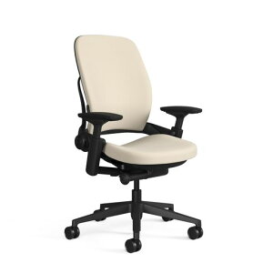 �X�`�[���P�[�X(Steelcase)�f�X�N�`�F�A�R�R�i�b�c/�u���b�NLEAP5S15�t���[������n�J���[/LEAP10100EC�y���{���K�A���i�z