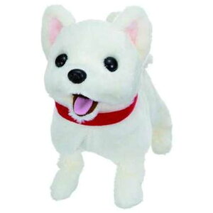 C(IWAYA)ꂵoNnc!łނVdrœʂ3256-1