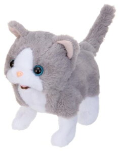 C(IWAYA)sbR[lueBbVdrœʂ3327-2